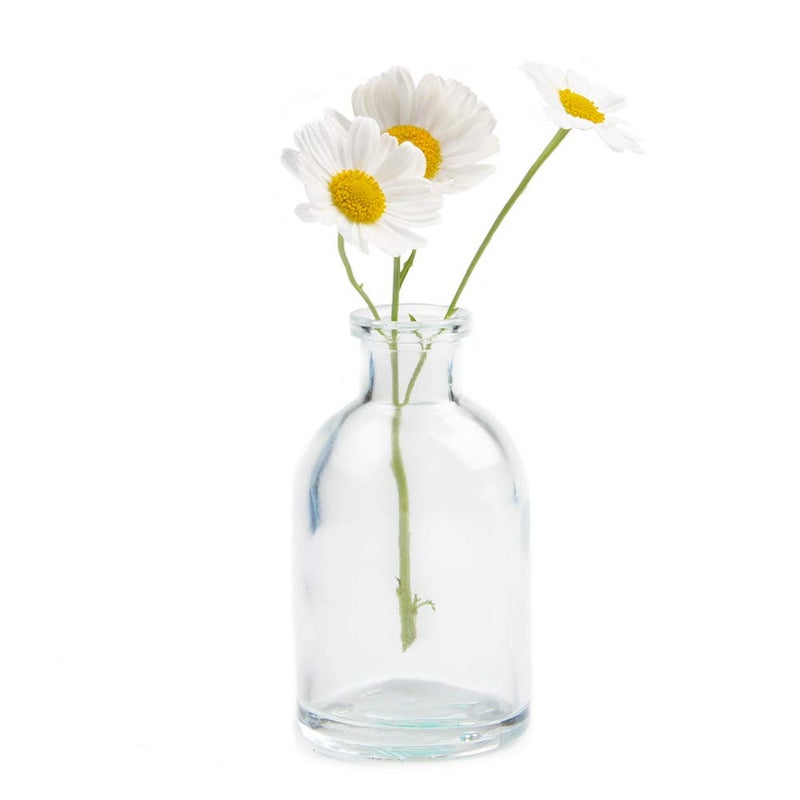 CHIVE â€˜Loftâ€™ Small Mini Flower Vases - Clear Glass Bud Vases, Set of 10 - Cute Vintage Rustic Centerpieces for Wedding, Events & Home - Premium Quality, Designed to Last - Image 5